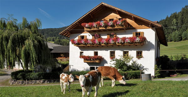 Sommer Präsentationsbild Ferienwohnungen auf dem Bauernhof Oberglarzhof