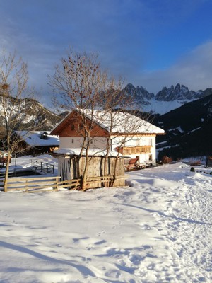 Foto esterno Appartamenti in agriturismo Ritzhof