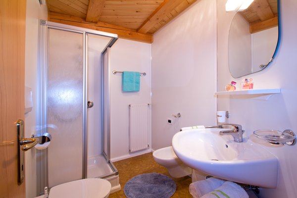 Photo of the bathroom Farmhouse apartments Unterschnothof