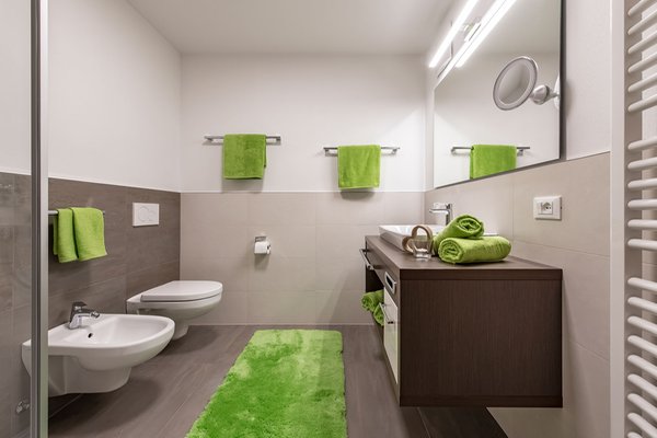 Foto del bagno living Puez apartments in the dolomites