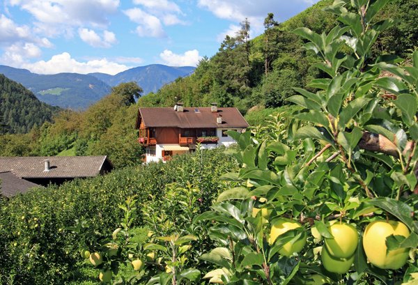 La posizione Appartamenti in agriturismo Prackfiedererhof Val di Funes