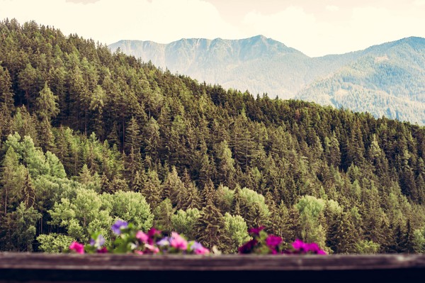 Foto del balcone Drockerhof