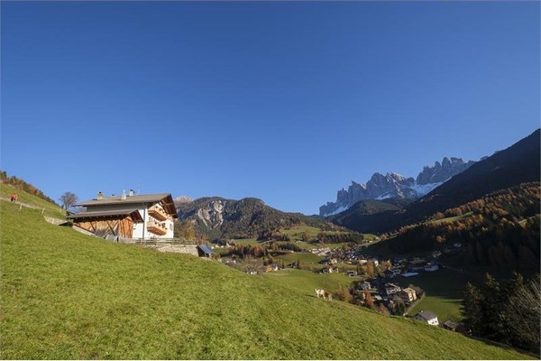 Foto esterno Appartamenti in agriturismo Galreidhof