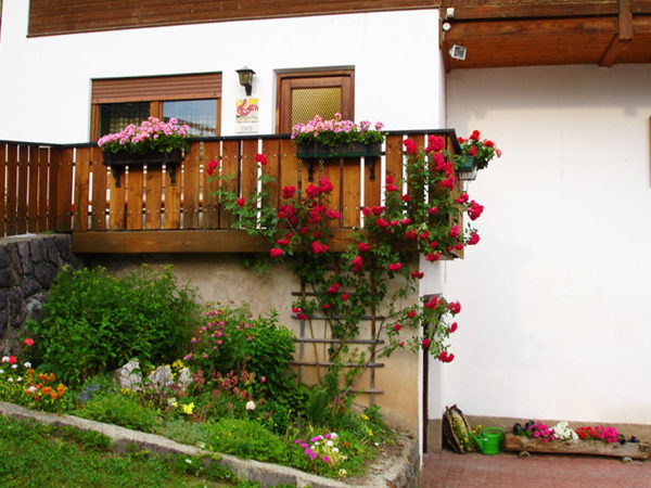 Foto esterno Appartamenti in agriturismo Heinzlerhof
