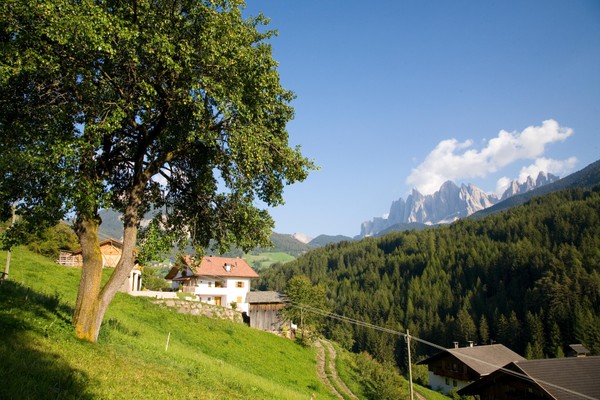 Foto esterno Appartamenti in agriturismo Sturglerhof