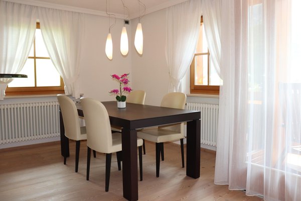 The living area Apartments Ciasa Cir