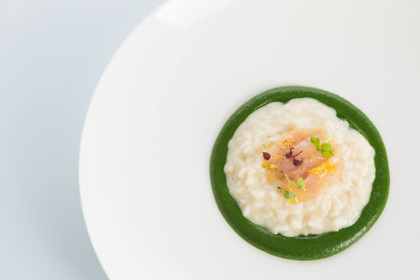 Rezepte und Gourmet-Gerichte Elephant