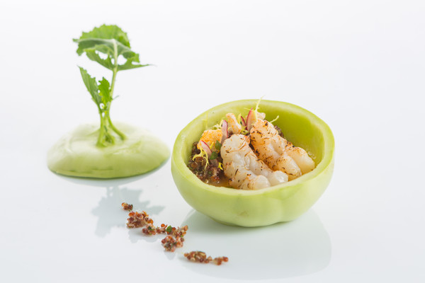 Rezepte und Gourmet-Gerichte Elephant
