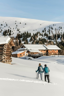 Foto Außenansicht Hütte Kreuzwiesen Alm