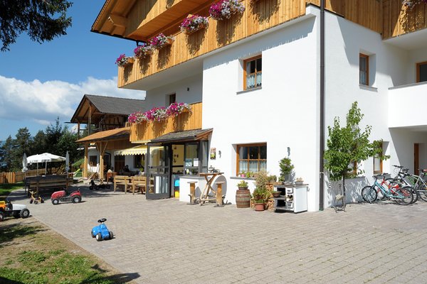 Foto esterno in estate Jausenstation Moar