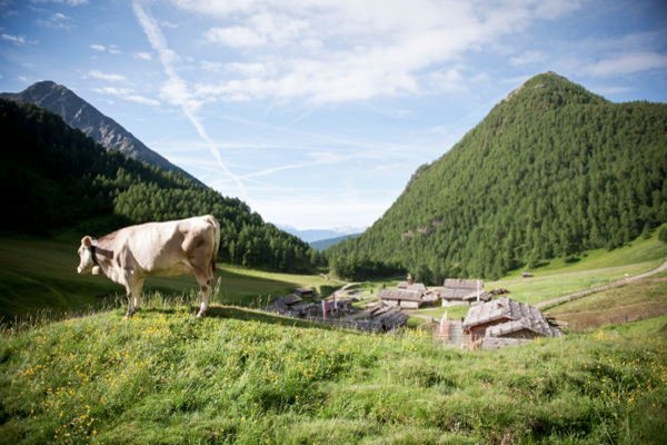 Foto estiva di presentazione Associazione turistica Gitschberg Jochtal