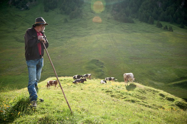 Characteristic depiction of Gitschberg Jochtal (Valle Isarco / Eisacktal)