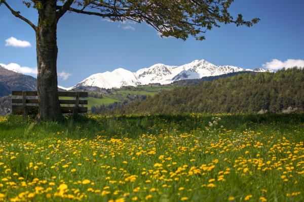 Characteristic depiction of Rodengo / Rodeneck (Valle Isarco / Eisacktal)