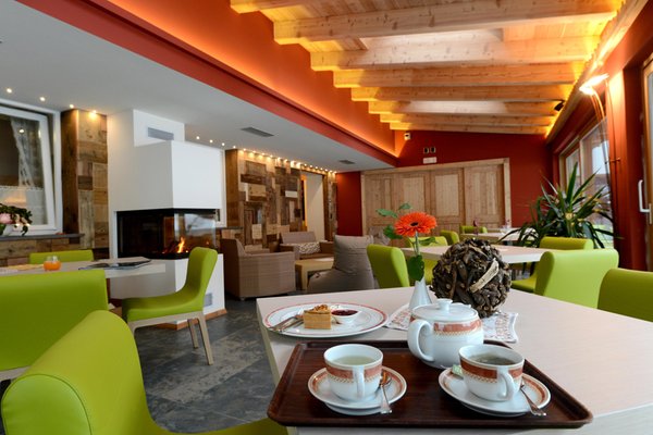 Le parti comuni Hotel Alpino