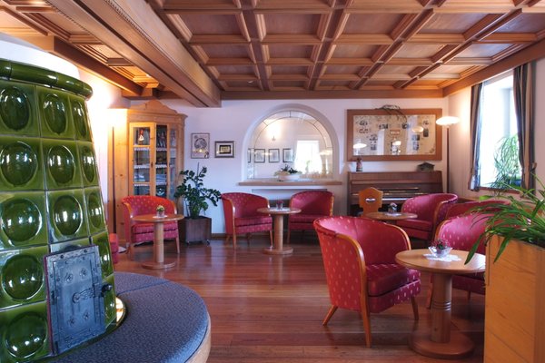 Le parti comuni Hotel Alpino