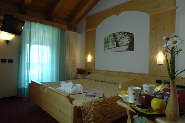 Foto della camera Hotel Alpino