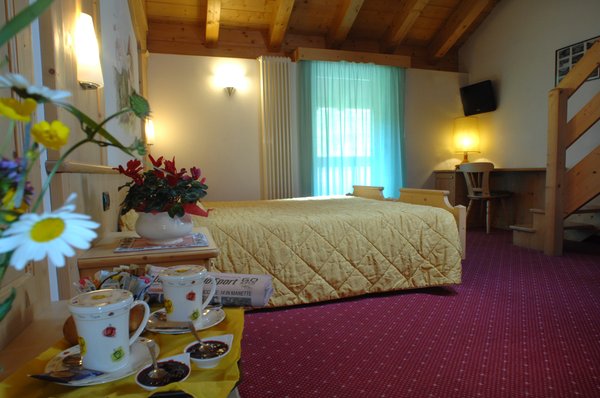 Foto della camera Hotel Alpino