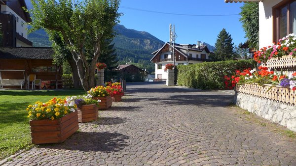 Photo exteriors Hotel Bellaria