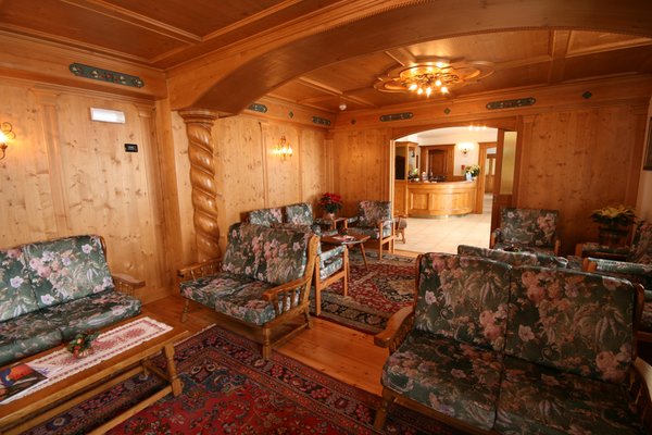 Le parti comuni Hotel Des Alpes