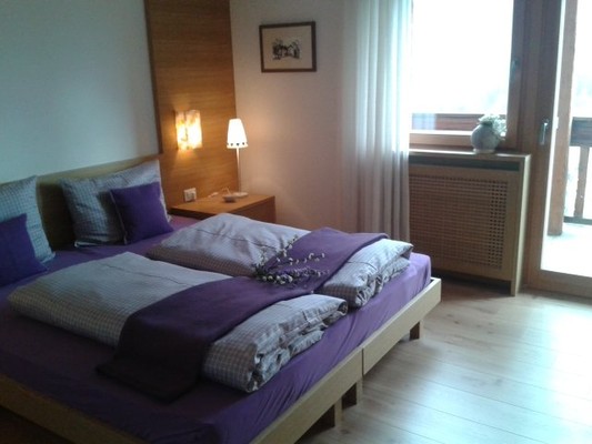 Photo of the room Apartments Cësa Antermejes