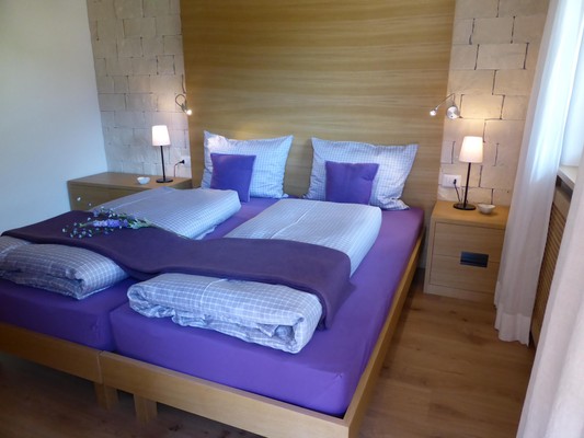 Photo of the room Apartments Cësa Antermejes