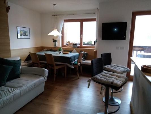The living area Apartments Cësa Antermejes