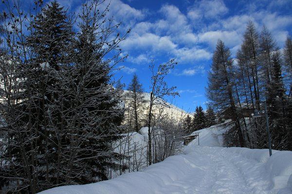 Gallery inverno