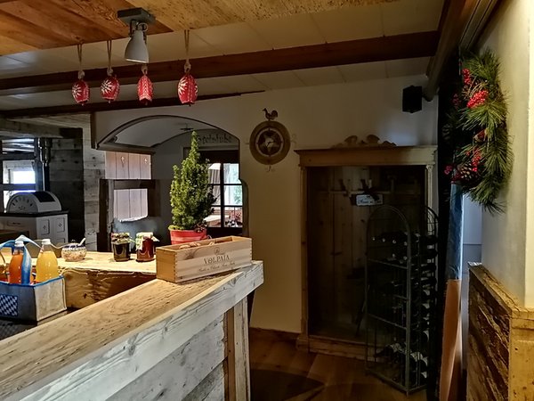 Foto del bar Hotel Almhof