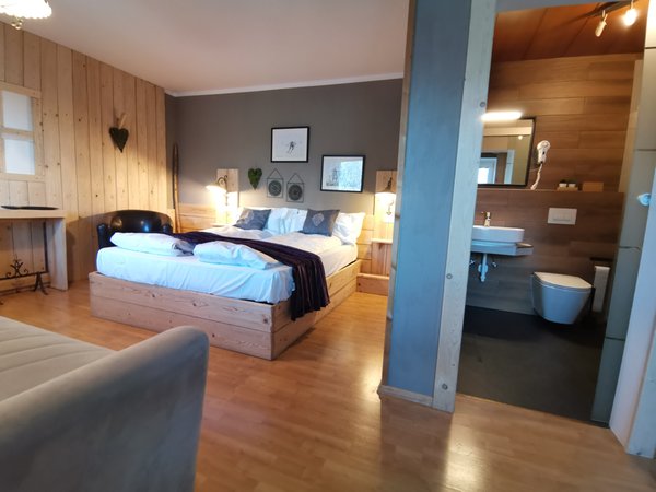 Foto della camera Hotel Almhof