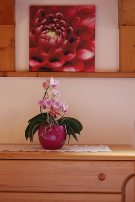 Foto di alcuni dettagli Rose