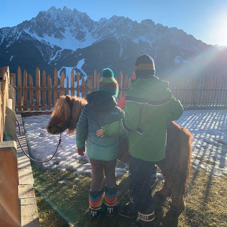 Foto degli animali