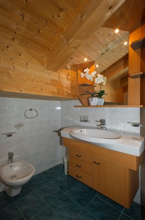 Photo of the bathroom Apartments Feichter Lercher Irma
