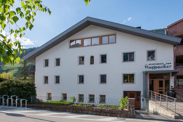 Sommer Präsentationsbild Ferienwohnungen Happacher