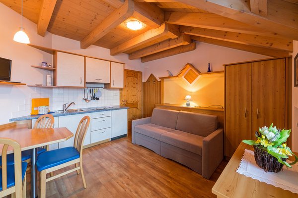 The living area Apartments Lercher Anna