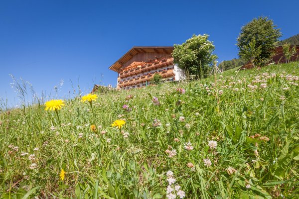 Bildergalerie Sommer