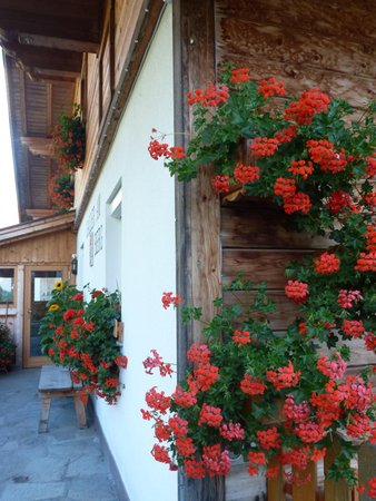 Photo of some details Galler am Berg