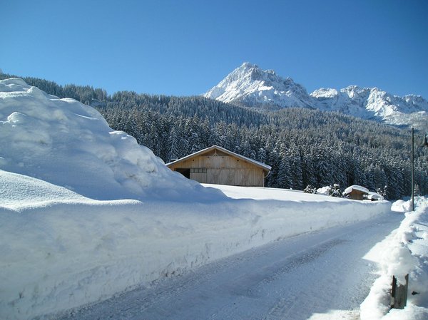 Position Farmhouse apartments Gallerhof Erika Versciaco (San Candido)