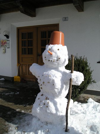 Photo gallery winter