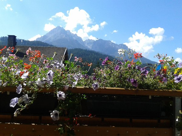 Photo of the balcony Gallerhof Erika