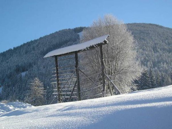 Panoramic view Versciaco / Obervierschach (San Candido / Innichen)