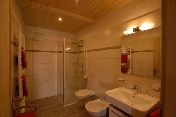 Foto del bagno Appartamenti in agriturismo Pircherhof