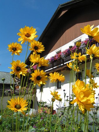Foto esterno in estate Schopferhof