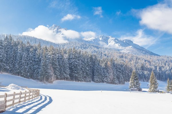 Photo gallery winter