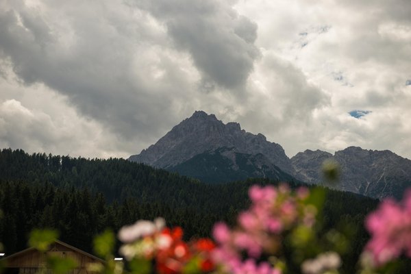 Photo gallery summer