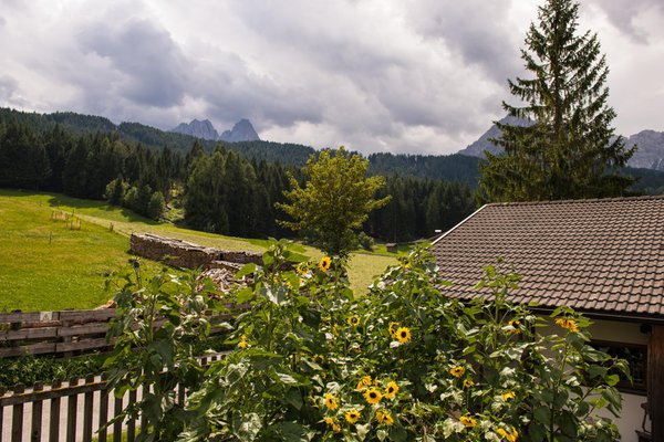 Photo gallery summer