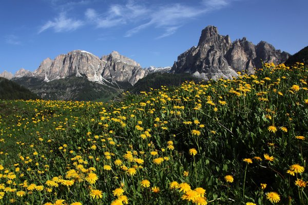 Foto estiva di presentazione Ufficio turistico Corvara