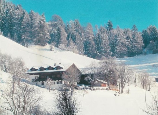 Foto esterno Appartamenti in agriturismo Wiesthalerhof