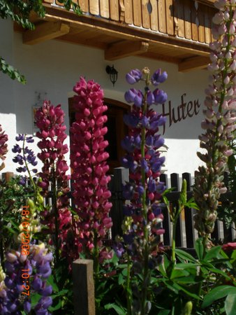 Foto del giardino Prato alla Drava
