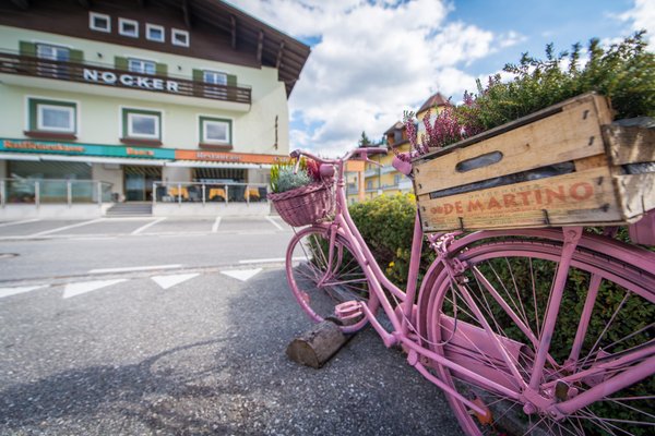 Foto Außenansicht im Sommer Nocker