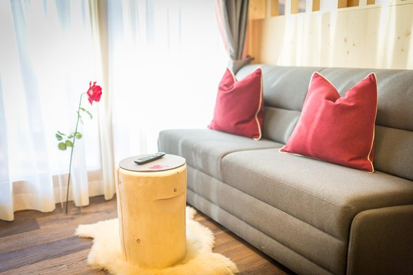 The living area Apartments in hotel Olympia